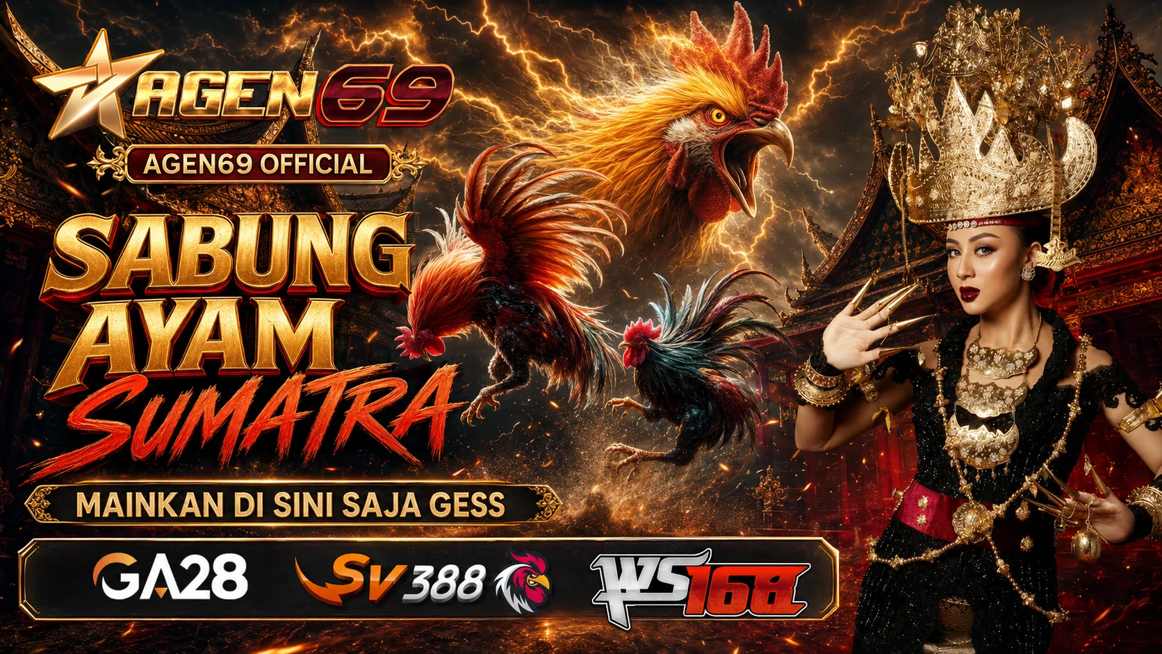 Adu Ayam di Sumatra - Tradisi Minang, Batak, Aceh